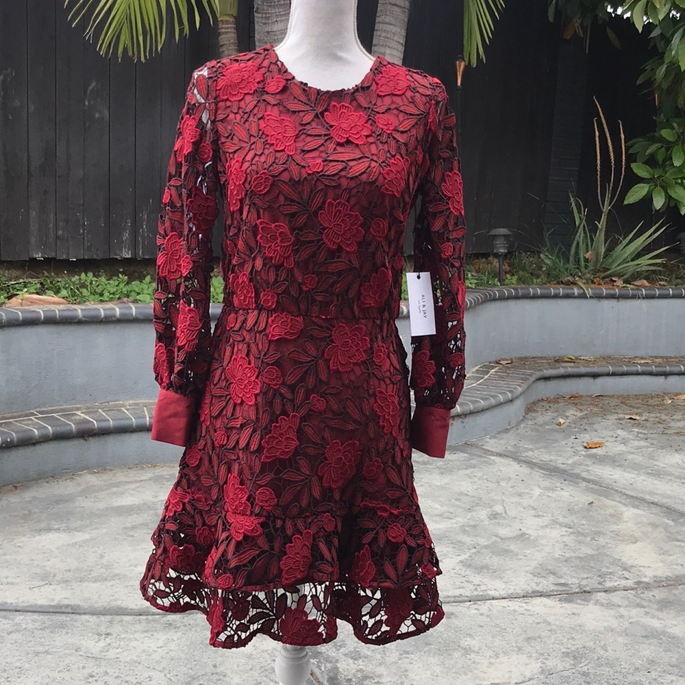 🆕 Ali & Jay Berry Lace Dress 😍